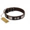 "Baller Status" FDT Artisan Brown Leather Siberian Husky Collar Adorned with a Set of Chrome Plated Studs and Plates