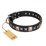 'Space Walk' FDT Artisan Black Leather Siberian Husky Dog Collar with Adornments