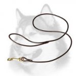 Dog Show Leather Leash for Siberian Husky