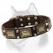 Stylish Leather Dog Collar for Siberian Husky with Awesome Adornment