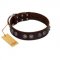 "King Arthur" FDT Artisan Brown Leather Siberian Husky Collar with Spiky Plates