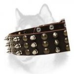 Siberian Husky Leather Dog Collar with Mixed Adornment