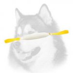 Siberian Husky Bite Tug of Fire Hose with 2 Handles