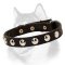 Awesome Studded Leather Dog Collar for Siberian Husky