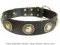 Leather Dog Collar with Silver Conchos