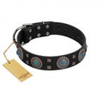 "Boundless Blue" FDT Artisan Black Leather Siberian Husky Collar with Chrome Plated Brooches and Square Studs