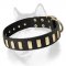 Marvelous Leather Dog Collar With Plates for Siberian Husky