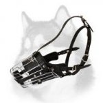 Leather Padded Metal Cage Muzzle for Siberian Husky