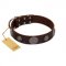 "Flashy Woof" FDT Artisan Brown Leather Siberian Husky Collar with Chrome Plated Brooches