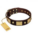 "Heavy Metal" FDT Artisan Brown Leather Siberian Husky Collar with Old Bronze-like Skulls and Plates