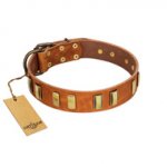 "Olive Slice" FDT Artisan Tan Leather Siberian Husky Collar with Engraved and Smooth Plates