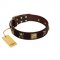 "Crazy Pirate" FDT Artisan Brown Leather Siberian Husky Collar with Old Bronze-Plated Skulls and Plates