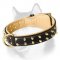 Nappa Padded Dog Collar with 2 Rows of Brass Spikes for Siberian Husky