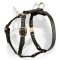 Luxury Handcrafted Super Harness Made for Siberian Husky