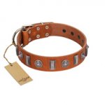 "Luxurious Necklace" FDT Artisan Tan Leather Siberian Husky Collar with Silver-Like Adornments