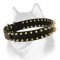 Luxurious Spiked Dog Collar for Siberian Husky