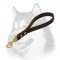 Elegant Short Leather Leash