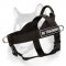 Search & Rescue Nylon Harness for Siberian Husky