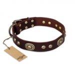 "Breath of Elegance" FDT Artisan Decorated with Plates Brown Leather Siberian Husky Collar