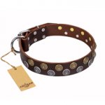 'Strong Shields' Wide FDT Artisan Studded Leather Siberian Husky Collar