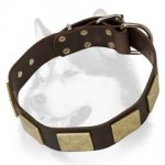 Awesome Leather Siberian Husky Collar with Massive Plates