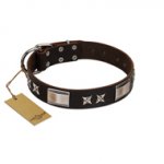 "Satin Beauts" FDT Artisan Brown Leather Siberian Husky Collar with Stars and Plates
