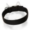 Water-proof 2 Ply Nylon Collar for Siberian Husky