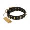 "Medieval Style" FDT Artisan Leather Siberian Husky Collar with Brass Plates and Spikes