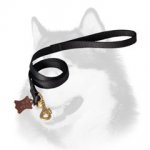 6FT Deluxe Nylon Lead for Siberian Husky