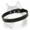 Leather Buckle Dog Collar for Siberian Husky