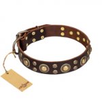 'Flower Melody' FDT Artisan Brown Leather Siberian Husky Collar with Mixed Studs