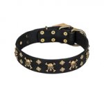 'Jolly Rojer' FDT Artisan Siberian Husky Leather Dog Collar with Pirate Skulls and Studs