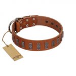 "Silver Century" Fashionable FDT Artisan Tan Leather Siberian Husky Collar with Silver-Like Plates