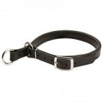 Adjustable Leather Slip Collar for Siberian Husky
