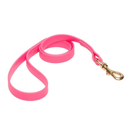 Pink Waterproof Siberian Husky Leash Made of Biothane