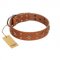 "Dreamy Gleam" FDT Artisan Tan Leather Siberian Husky Collar Adorned with Stars and Squares