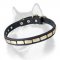 Plated Leather Special Dog Collar for Siberian Husky