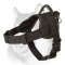 Siberian Husky Nylon Harness for Training/Walking