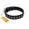 "Black Eagle" Handcrafted FDT Artisan Black Leather Siberian Husky Collar with Silver-Like Adornments