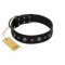 "Mr. Elegance" Designer FDT Artisan Black Leather Siberian Husky Collar with Silver-Like Studs