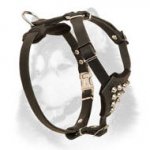 Adorned Leather Siberian Husky Harness for Puppy