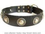 Leather Dog Collar with Silver Conchos