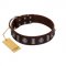 "Spiky Way" FDT Artisan Brown Leather Siberian Husky Collar with Silver-Like Decorations