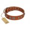 "Era Infinitum" FDT Artisan Tan Leather Siberian Husky Collar Adorned with Chrome-plated Circles