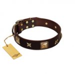 "Choco Dreams" FDT Artisan Brown Leather Siberian Husky Collar with Squares and Stars