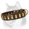 Gorgeous Wide Plated Leather Collar for Siberian Husky