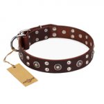 "Pirate Treasure" FDT Artisan Exciting Brown Leather Siberian Husky Collar with Studs