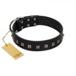 "Natural Beauty" Premium Quality FDT Artisan Black Designer Siberian Husky Collar with Dotted Studs