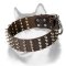 Gorgeous 2 inch Wide Spiked Leather Dog Collar for Siberian Husky