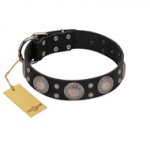 "Starry Sky" Trendy FDT Artisan Black Leather Siberian Husky Collar with Large Brooches